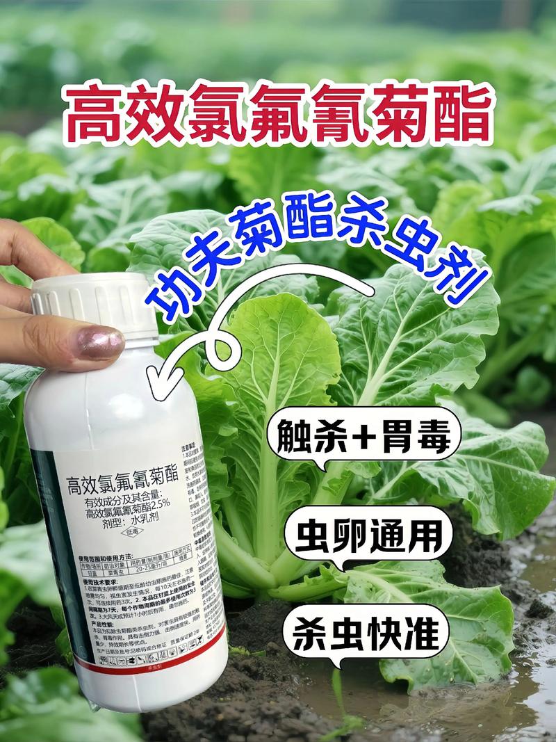 东丽代生中心:农药对供卵代生妈妈的危害